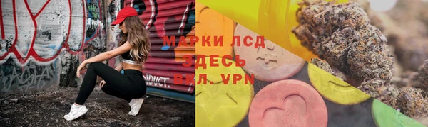 гидропоника Верея